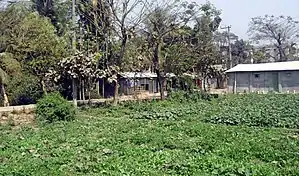 Latifpur village along with Chhadu Ullah Munsi Road at the center