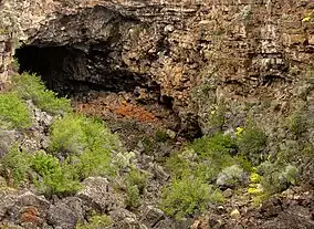 A cave entrance with volcanic rock above and shrubs below