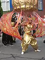 Carnival Procession 2008