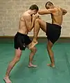 Knee and elbow strike