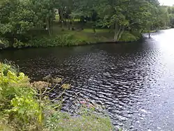 A large expanse of water with trees on the banks