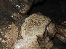 Bark like formation in Mawsmai Caves