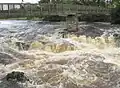 Linton Falls, summer spate