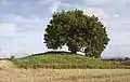 Loddenhøj near Aarhus. Many smaller round barrows in Denmark are encircled by agricultural fields.