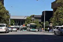 Buses and cars on a road between trees