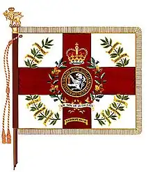 Pre-2023 regimental colour