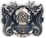 Master diver badge