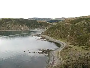 Mākara beach