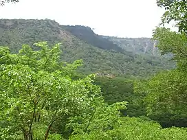 Miombo woodland on the slopes of the Plateau