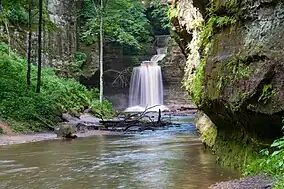 Lower Dells Falls at Matthiessen State Park