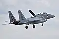 An F-15D Eagle Baz two-seater of 106 Squadron at Tel Nof