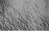 Medusae Fossae Formation as seen with Mars Odyssey's THEMIS. Notice elongated formations called yardangs.