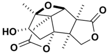 Skeletal structure of merrilactone A