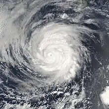 A visible satellite image of a major hurricane in the East Pacific.