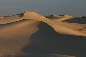 Monahans Sandhills State Park