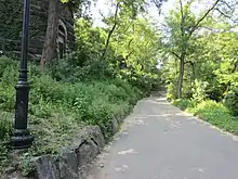 A paved pathway in the park lined by shrubs and trees