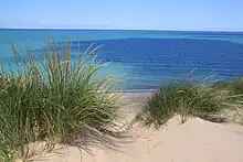 A large blue lake is seen beyond sand dunes with beach grass.