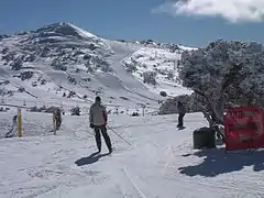 Blue Cow, Perisher Ski Resort, Australia