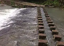 Stream in Middle Yandang Mountains 山间小溪