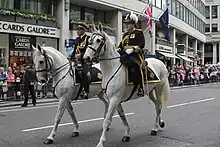 The Assistant Commissioner of the City of London Police in full ceremonial uniform, 2012.