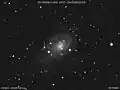 Supernova 2004dj in NGC 2403