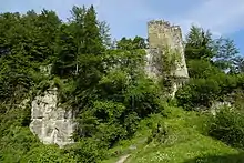 Grasburg castle ruins : front section