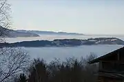 View with fog