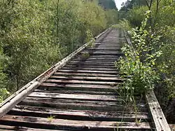 Old railroad trestle over the New River, future route of Palatka-Lake Butler State Trail as well as the Florida National Scenic Trail.