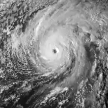 A visible satellite image of Hurricane Nicole nearing Category 4 intensity on October 12