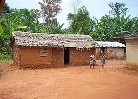 Banana leaves, Cameroon