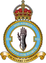 Squadron badge