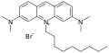 Structure of NAO