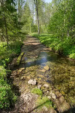 Norra Manor creek