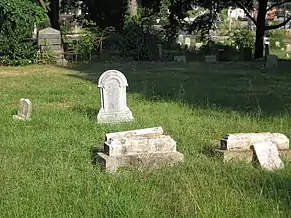 Examples of the many damaged gravestones at Pine Island Cemetery