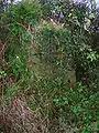 One of a pair of old gateposts on the lane from Drumastle Mill and Linncraigs to the old Lynn House