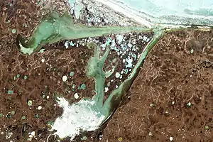 NASA picture of the Khroma and Omulyakh bays at the northern end of the lowland.