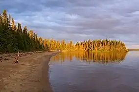 A beach on the northern shore of the lake