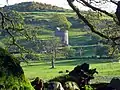 Orchardtown Tower, Buittle.