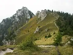 Typical rocks of the Bralná Fatra