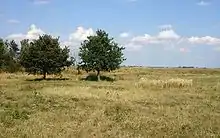 Terrain and vegetation of Vtáčí ostrov ("Bird Island")