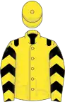 Yellow, black epaulets, chevrons on sleeves