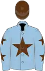 Light blue, brown star, brown stars on sleeves, brown cap