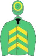 Emerald green, yellow chevrons, emerald green sleeves, hooped cap