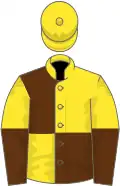 Yellow and brown (quartered), halved sleeves, yellow cap