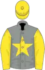 Grey, yellow star, sleeves and cap