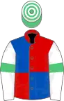 Red and royal blue (quartered), white sleeves, emerald green armlets, emerald green and white hooped cap