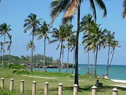 The Indian Ocean viewed from Oyster Bay in the year 2005.