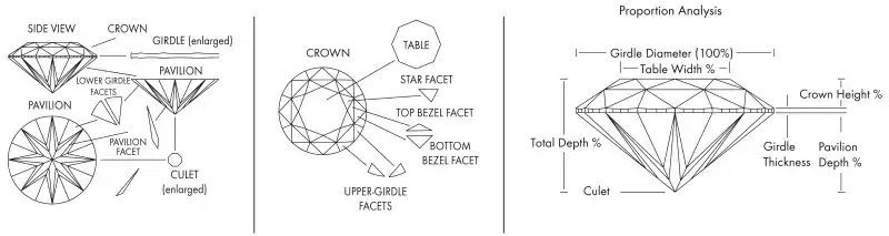 PC DiamondAnatomy B-W