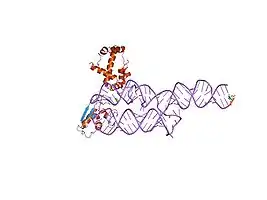 S-domain of human SRP