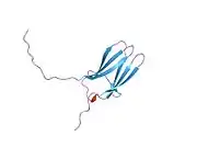 1wwb: LIGAND BINDING DOMAIN OF HUMAN TRKB RECEPTOR